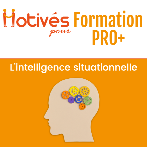 Formation Selfie-coach PRO+ : Devenez formateur en intelligence situationnelle