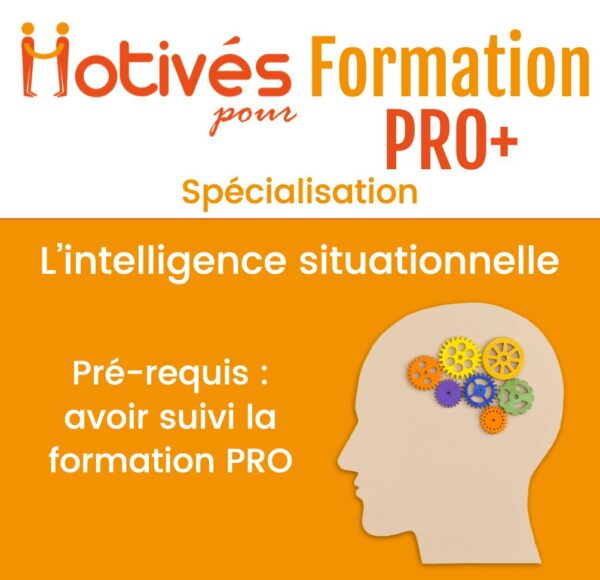 Formation Selfie-coach PRO+ : Devenez formateur en intelligence situationnelle dans une des 4 thématiques proposées
